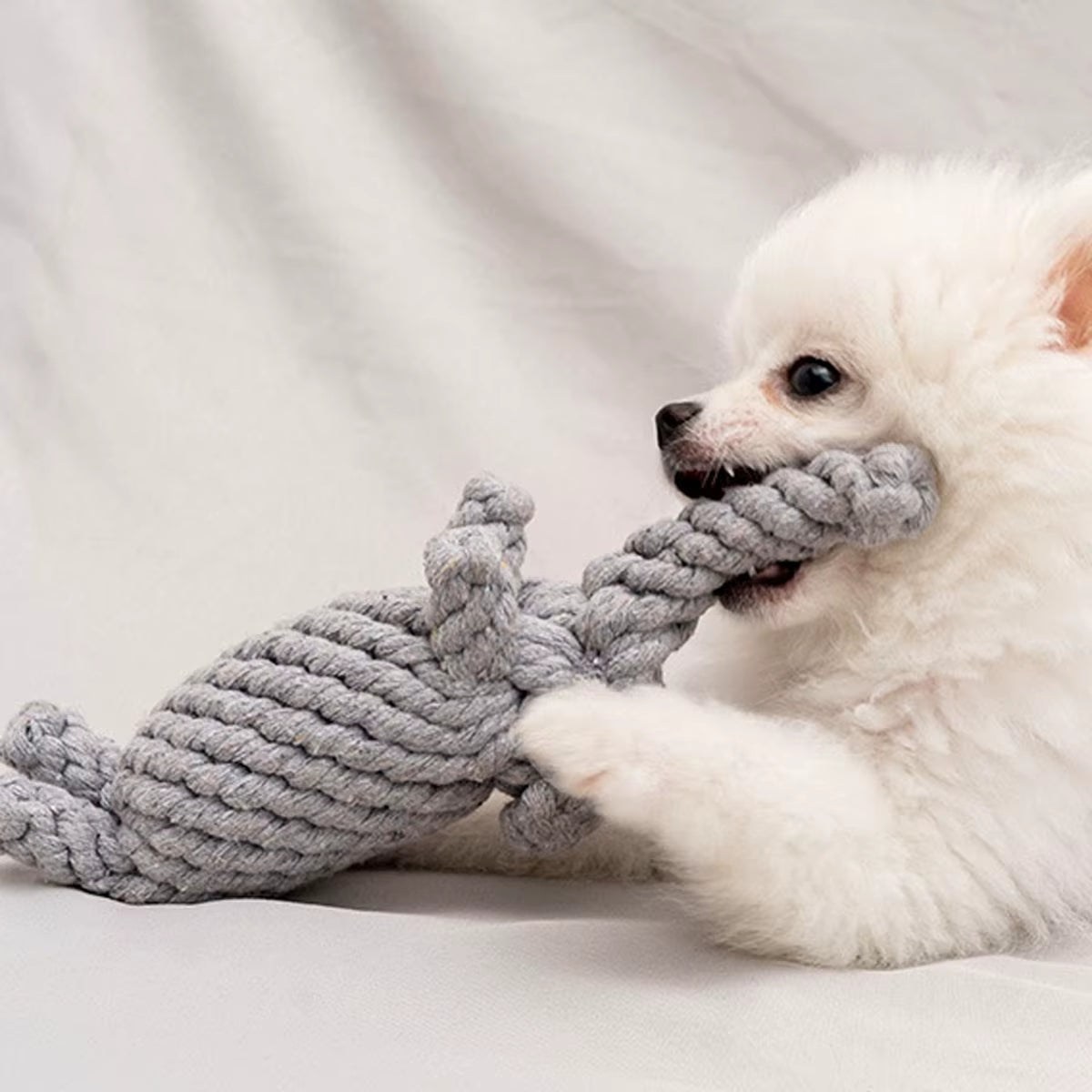 1Pc Rope Knot Grinding Teeth Resistant Hand-Woven Animal Cotton Rope Small and Medium-Sized Dog Pet Dog Toys