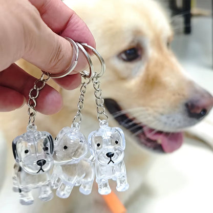 Transparent Dog Hair Storage Container Adorable Pet Keepsake Capsule Pendant with Key Ring for Pet Lovers DIY Memorial Keychain