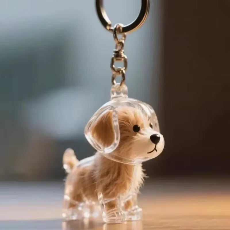 Transparent Dog Hair Storage Container Adorable Pet Keepsake Capsule Pendant with Key Ring for Pet Lovers DIY Memorial Keychain