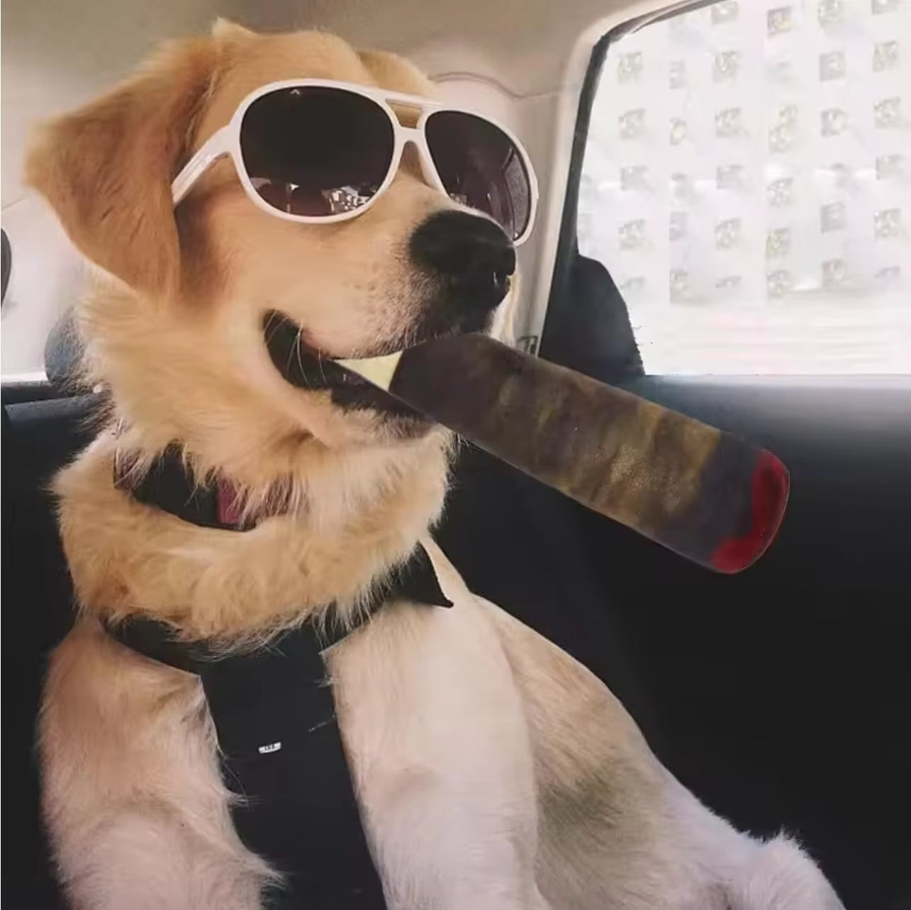 Funny Interactive Dog Toys - Cigar Design Plush Squeaky Pet Toys Grinding Teeth Creative Chew Toy for Small Medium Dog